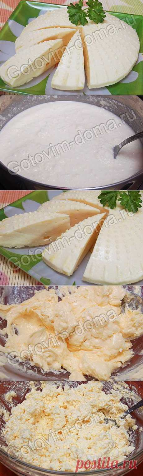 Рецепт: Сыр домашний