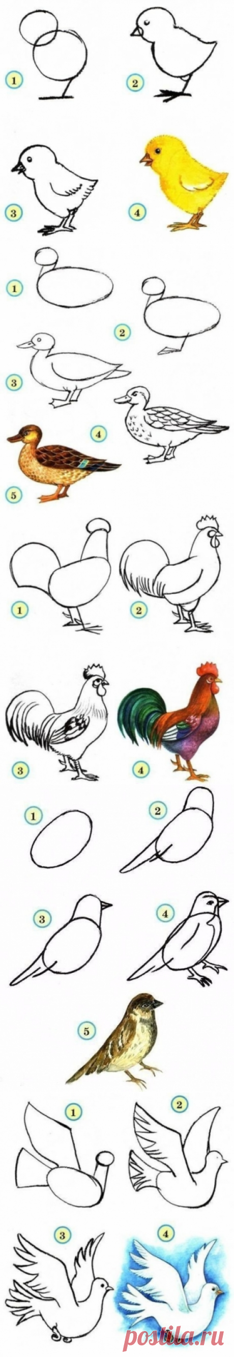 Рисуем с детками - Поделки с детьми | Деткиподелки