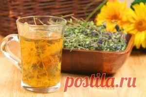 Травы от кашля: инструкция по применению и рецепты