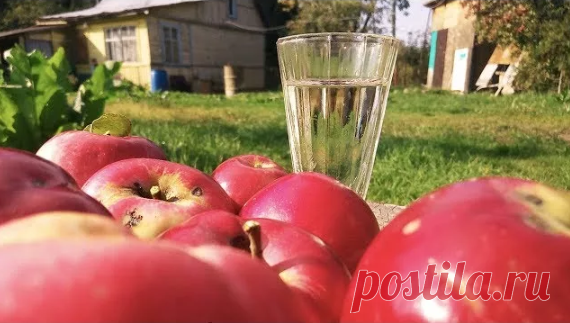 Правильный самогон из яблок | Хоттабыч | Яндекс Дзен