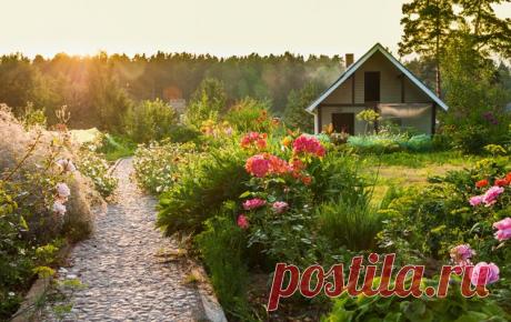 Магия растений: благоустройство приусадебного участка | Гороскоп