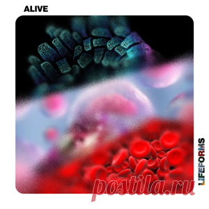 Tim Engelhardt, Solique - Alive | 4DJsonline.com