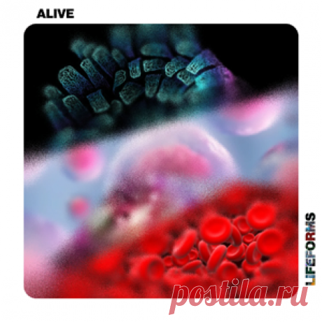 Tim Engelhardt, Solique - Alive | 4DJsonline.com