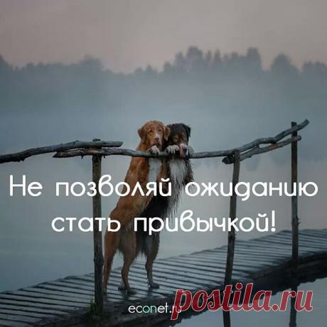 #inspiration #вдохновение #счастье #believeinyourself #peace#calm #beauty #beautiful #motivation #красота #красиво #picoftheday #photooftheday #innerpeace #preciousmoments #quotes #quoteoftheday #qotd #lifequotes #inspirationquotes #motivationquotes #quoteoftheday #econet #человек #жизнь #события
