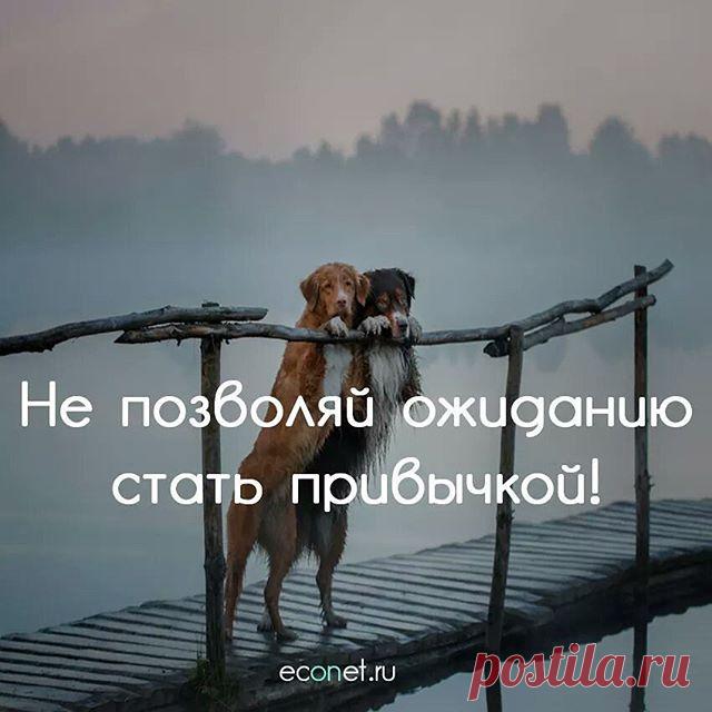 #inspiration #вдохновение #счастье #believeinyourself #peace#calm #beauty #beautiful #motivation #красота #красиво #picoftheday #photooftheday #innerpeace #preciousmoments #quotes #quoteoftheday #qotd #lifequotes #inspirationquotes #motivationquotes #quoteoftheday #econet #человек #жизнь #события