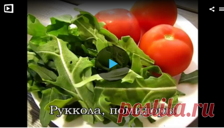 Итальянская пицца по-домашнему » В сети – себя просвети! - Развлекательный портал!