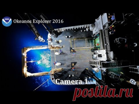 NOAA Ocean Explorer: NOAA Ship Okeanos Explorer: Live Video Stream - онлайн трансляция с Мариинской впадины