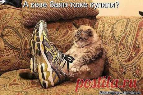 Интересные новости