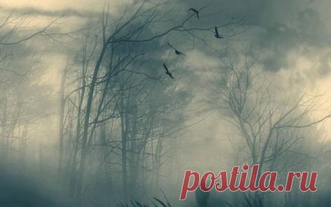 Эдуард Лимонов: Россию бесцеремонно выпихивают из переговоров по Донбассу