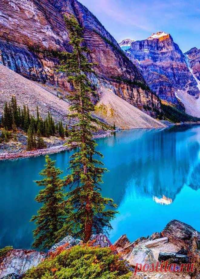 🌹🍃🌷🍃🌹🍃🌷🍃🌹