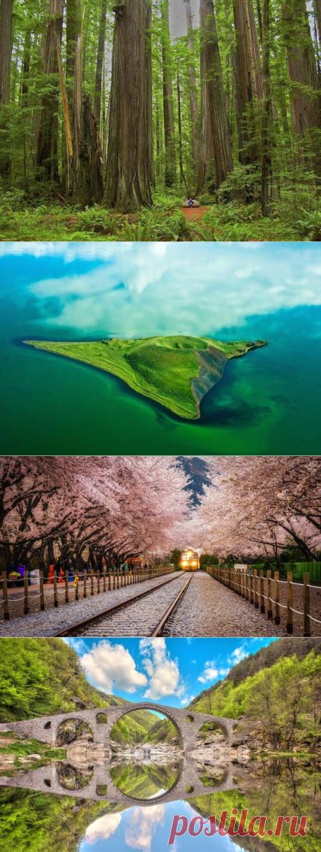 Удивительные фотографии со всего света / Всё самое лучшее из интернета