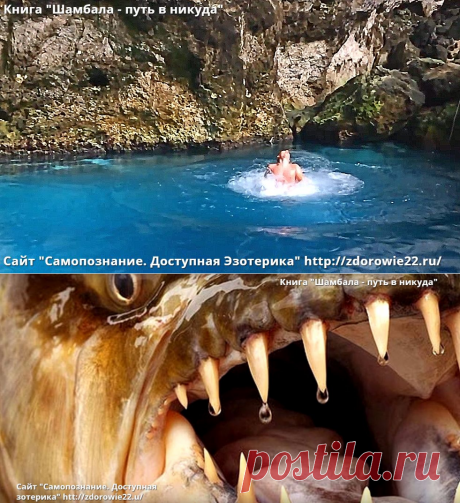 На кругах ада »