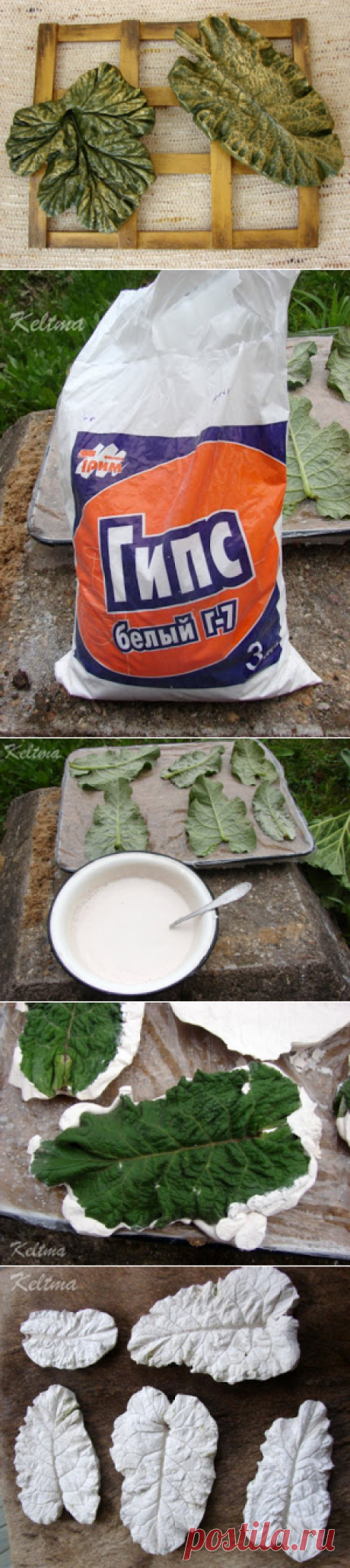 Оригинальные листья из гипса — Сделай сам, идеи для творчества - DIY Ideas