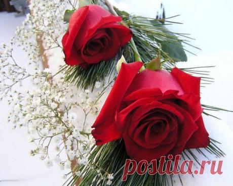 wasfee: В жизни я слышал многое — клятвы, обещания, комплименты, но лучшее, что я слышал — тишина. В ней нет лжи.