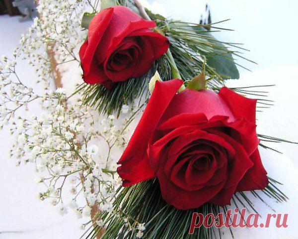 wasfee: В жизни я слышал многое — клятвы, обещания, комплименты, но лучшее, что я слышал — тишина. В ней нет лжи.