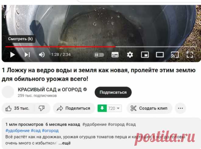 Новости садовой психиатрии
Самые популярные видеоролики с 