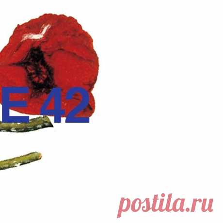 Публикация Jack Rael в Instagram • 4 Авг 2017 в 4:51  UTC 22 отметок «Нравится», 0 комментариев — Jack Rael (@thisisnotnew) в Instagram