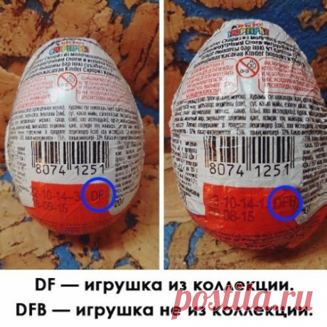 Самая нужная информация за всю жизнь!