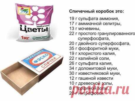 Стена | ВКонтакте