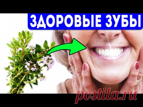 О чем умалчивают народные целители. Ценные секреты по уходу за полостью рта