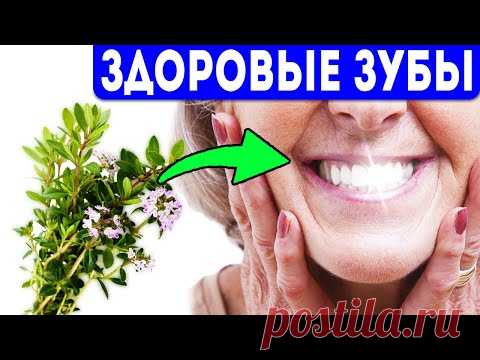 О чем умалчивают народные целители. Ценные секреты по уходу за полостью рта