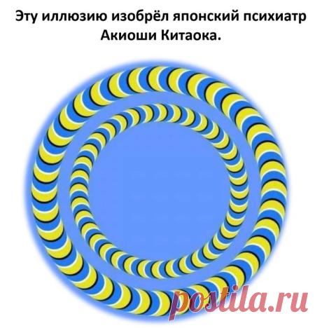 (8) Одноклассники