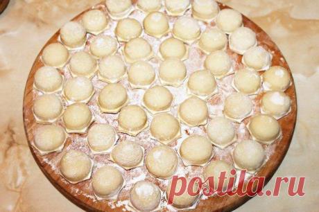 Пельмени с курицей и грибами в заморозку — Домашний уют