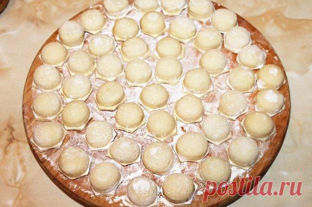 Пельмени с курицей и грибами в заморозку — Домашний уют