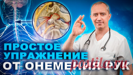 Почему немеют руки? Упражнение и прием самомассажа от онемения рук. | Блог Доктора Шишонина | Дзен