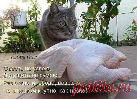 ღ♣ღ♣ღНАШИ ЛУЧШИЕ СТАТУСЫ!ღ♣ღ♣ღ★❶