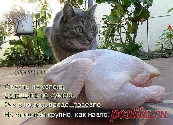 ღ♣ღ♣ღНАШИ ЛУЧШИЕ СТАТУСЫ!ღ♣ღ♣ღ★❶
