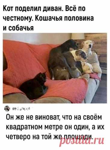 Всем хорошего настроения