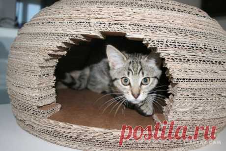 Дом для кота своими руками . Милая Я