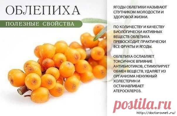 Польза оранжевых продуктов