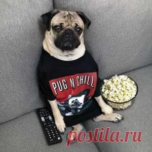 Список дел на выходные и праздники
