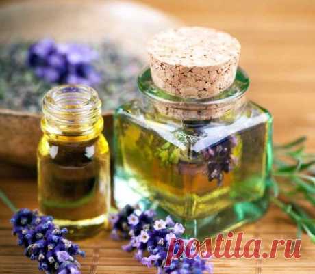 10 способов борьбы с комарами и их укусами / Будьте здоровы