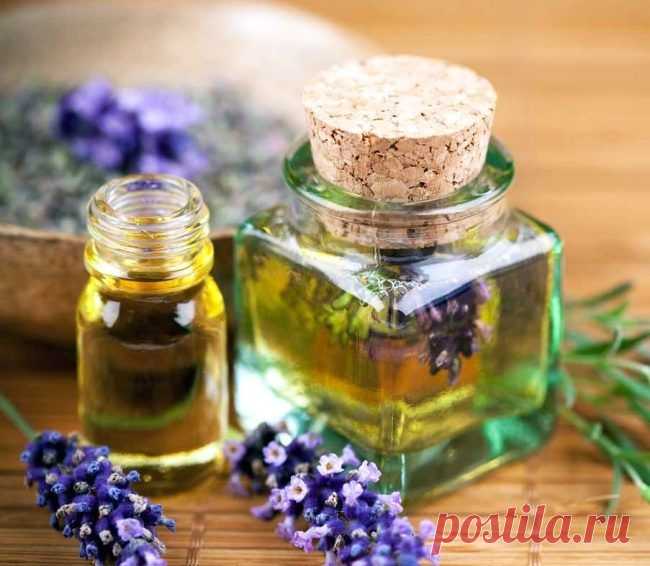 10 способов борьбы с комарами и их укусами / Будьте здоровы