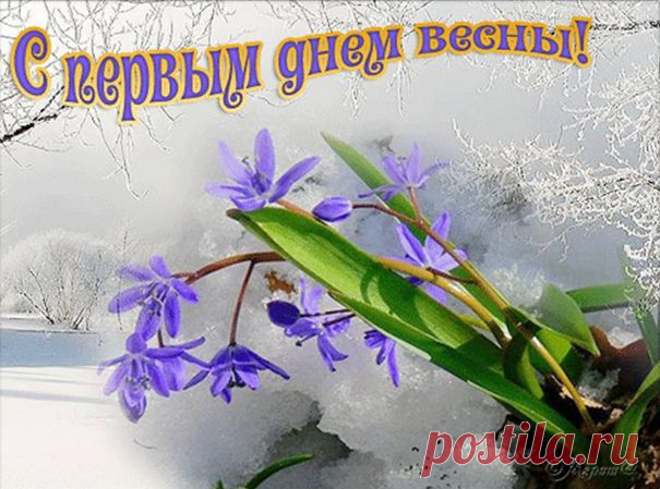 Поделись весенним настроением с друзьями, жми КЛАСС.