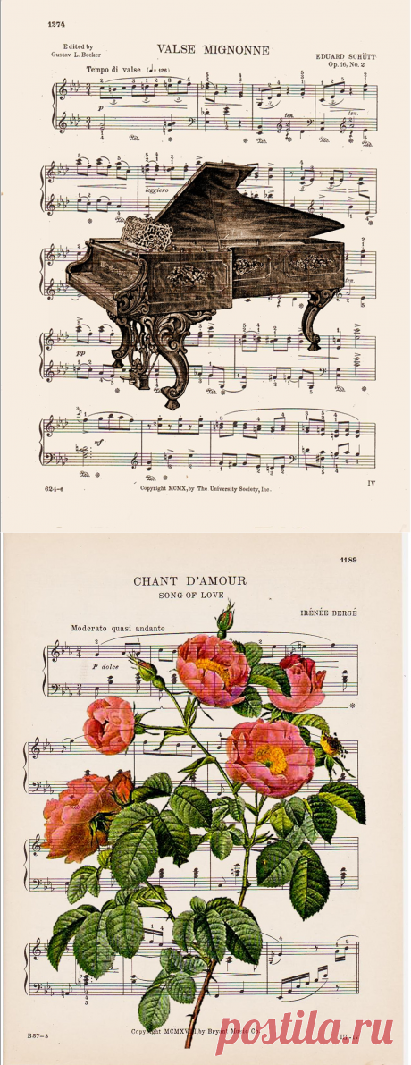 Принты на нотных листах.