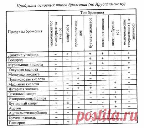 Pechemdoma.com | Пшеничная закваска для хлеба
