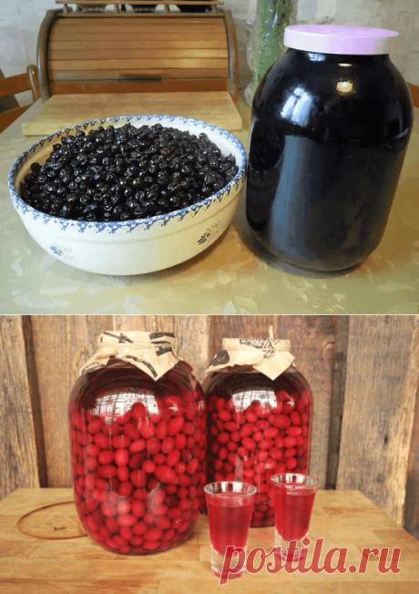 Не дайте ягоде пропасть: как настаивать собранные ягоды, чтобы получить незабываемые напитки — мои рецепты