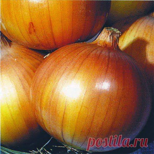 Как усилить обмен веществ