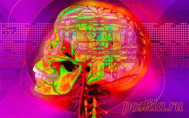 Этот тест поможет точно определить Ваш IQ