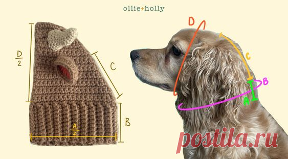 How to Crochet a Basic Dog Snood - Tutorial - Ollie + Holly | Amigurumi Crochet Patterns