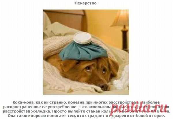 Идеи вашего дома