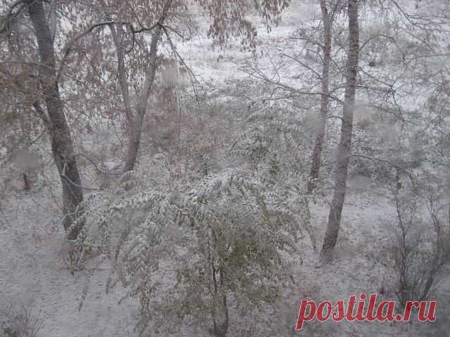 18 ОМСК