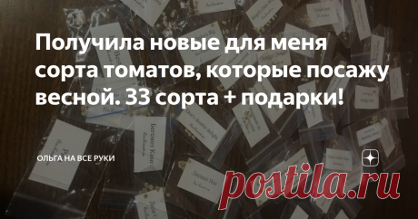Получила новые для меня сорта томатов, которые посажу весной. 33 сорта + подарки! Томатная "секта" и меня затянула в свои сети. Каждый год сажаю примерно 20 новых сортов, интересно же!
От выращивания  гибридов давно отказалась,  заказываю семена у коллекционеров, выращиваю томаты, сохраняю семена, раздаю знакомым, заманиваю их в секту томатных маньяков.
Часто беру томаты у Алены Ворониной, как и многие на Дзене. Именно у нее я нашла свой любимый Юсуповский томат и Сараевские