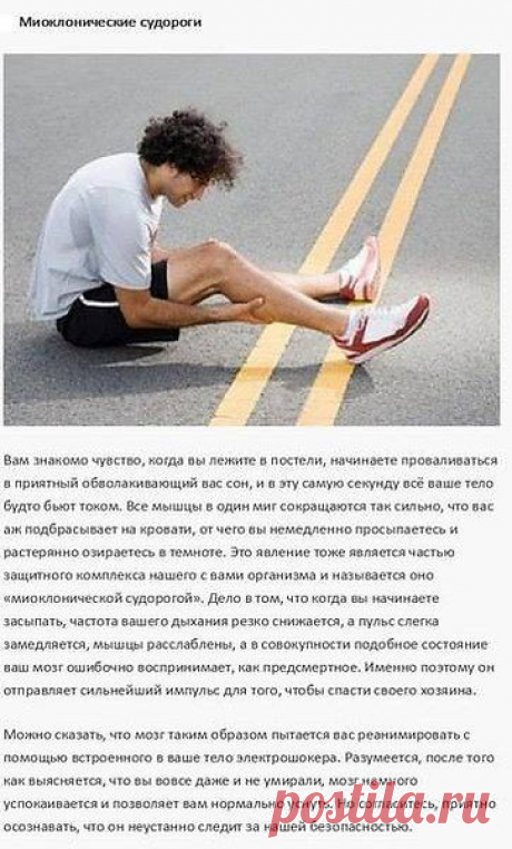 Фото пользователя Виктор, Ашхабад, 59 лет