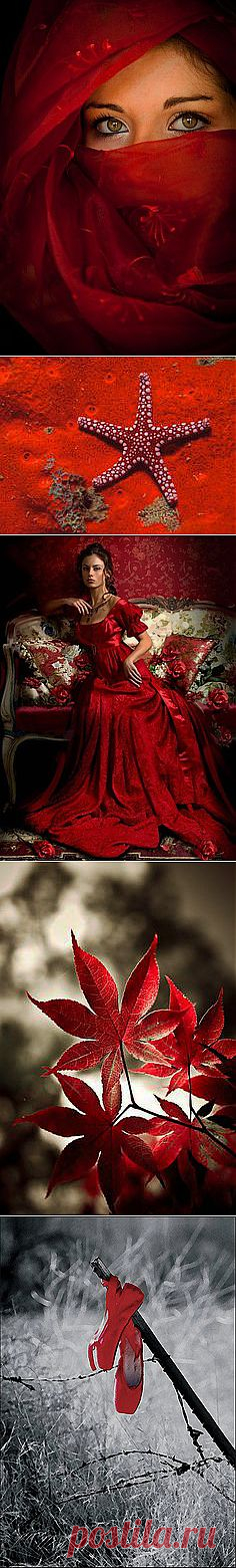 Laura Morgan приколол(а) это к доске Windows to the Soul
