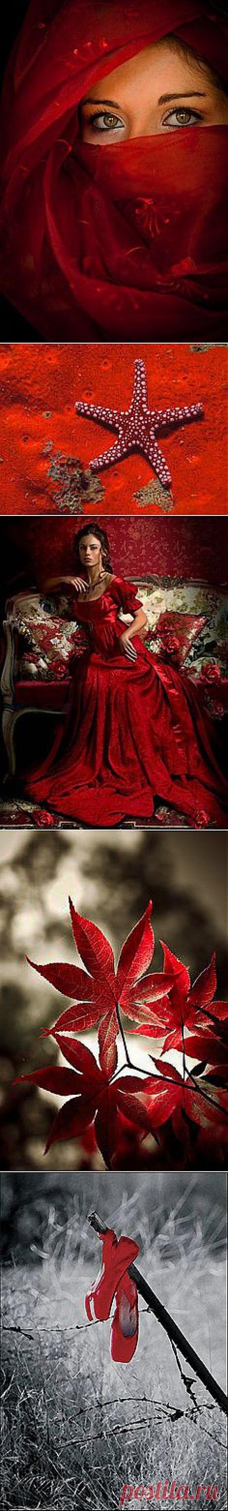 Laura Morgan приколол(а) это к доске Windows to the Soul